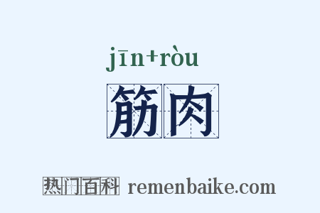 筋肉是什么意思的图片